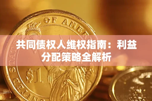 北京共同债权人维权指南：利益分配策略全解析
