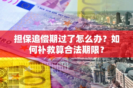 北京担保追偿期过了怎么办？如何补救算合法期限？